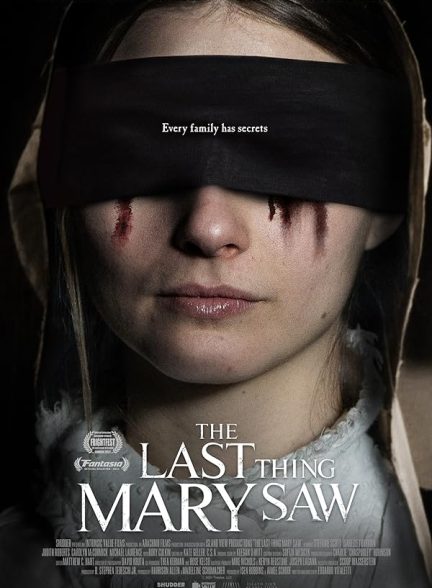 دانلود فیلم آخرین چیزی که مری دید The Last Thing Mary Saw 2021 + دوبله فارسی